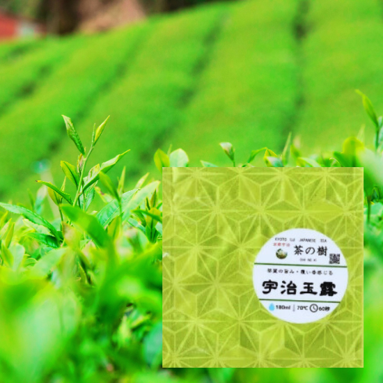 Uji Gyokuro Tea Bags (5 pcs.)