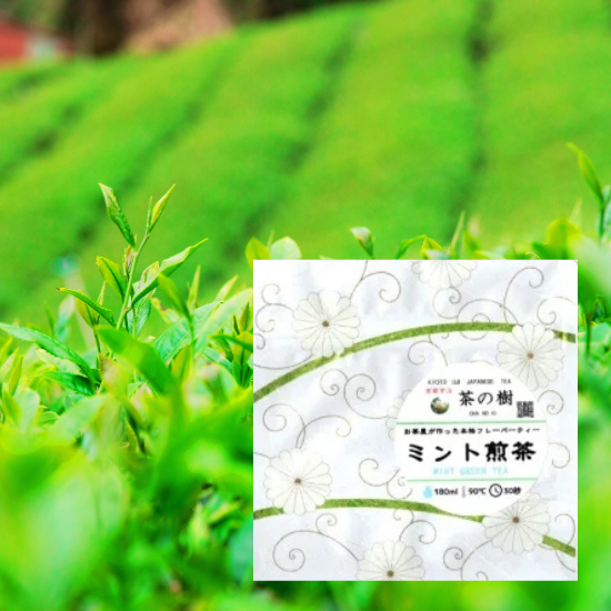 Mint Sencha Tea Bags (5 pcs.)
