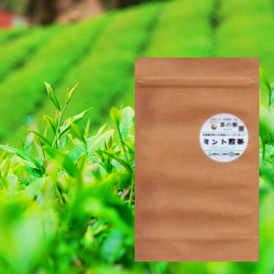 Mint Sencha Tea Bags (30 pcs.)