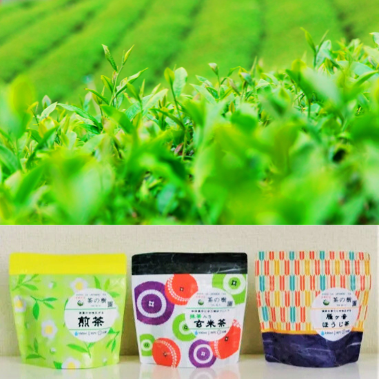 Popular 3-Tea Bag Gift Set