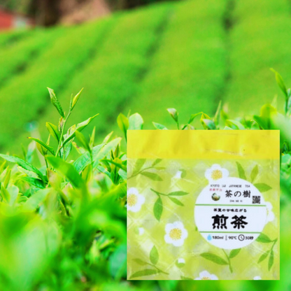 Sencha Tea Bags (5 pcs.)